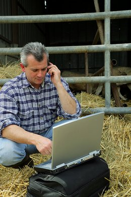 man-on-phone-at-farm